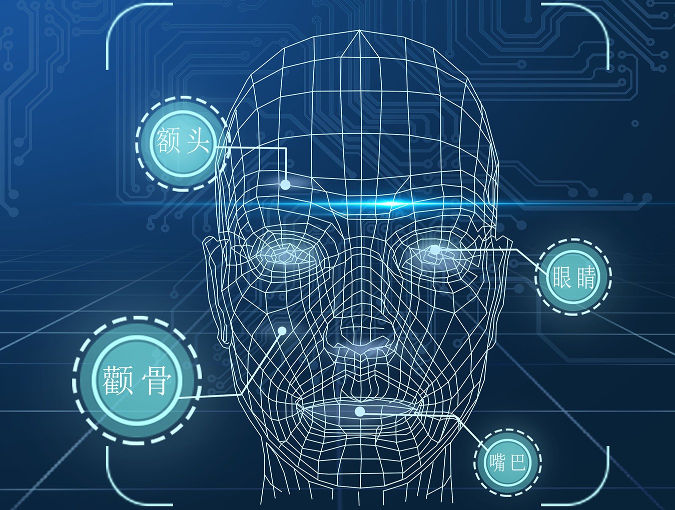 1628155590932555.jpg 03.jpg