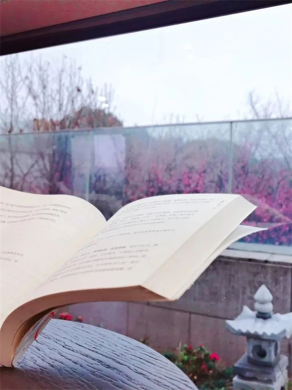 1678864678907348.jpg 微信图片_20230301101942.jpg