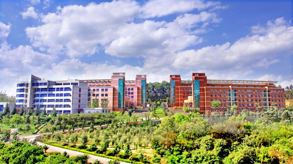 1692774828806354.jpg 5.jpg